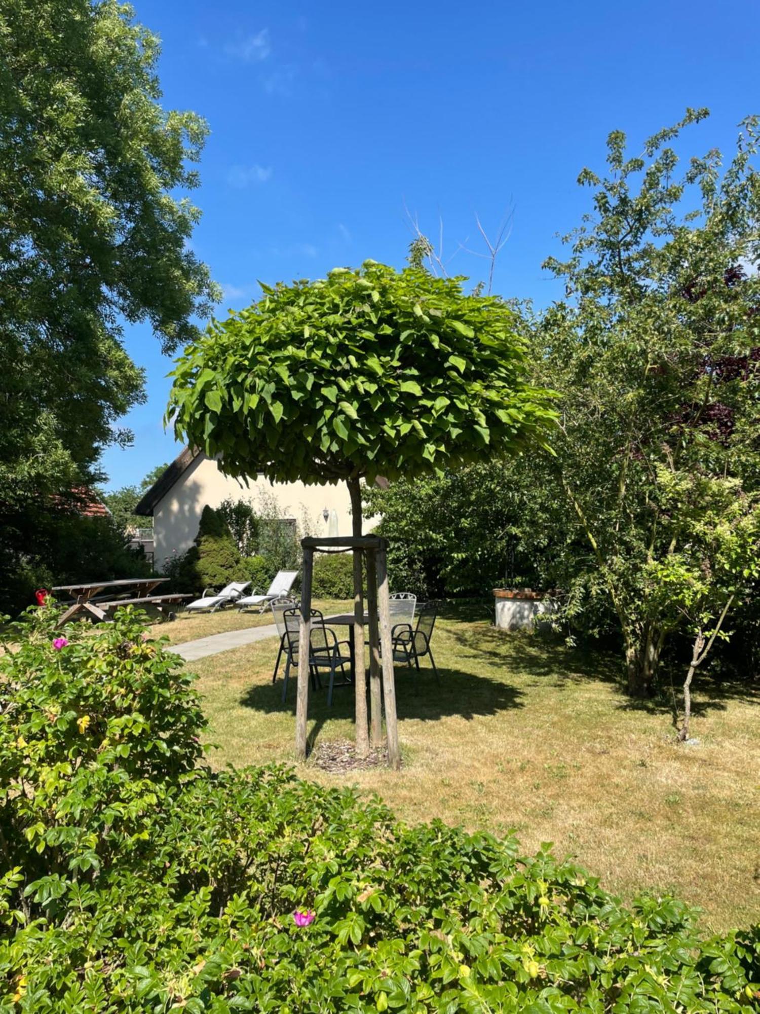 Fischerhus In Krummin - Nur Fuer Urlauber Eksteriør bilde