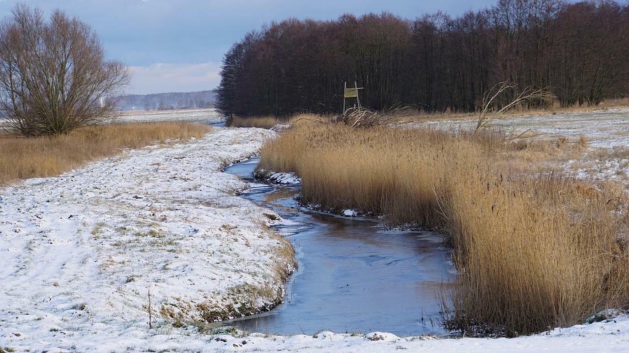 Fischerhus In Krummin - Nur Fuer Urlauber Eksteriør bilde