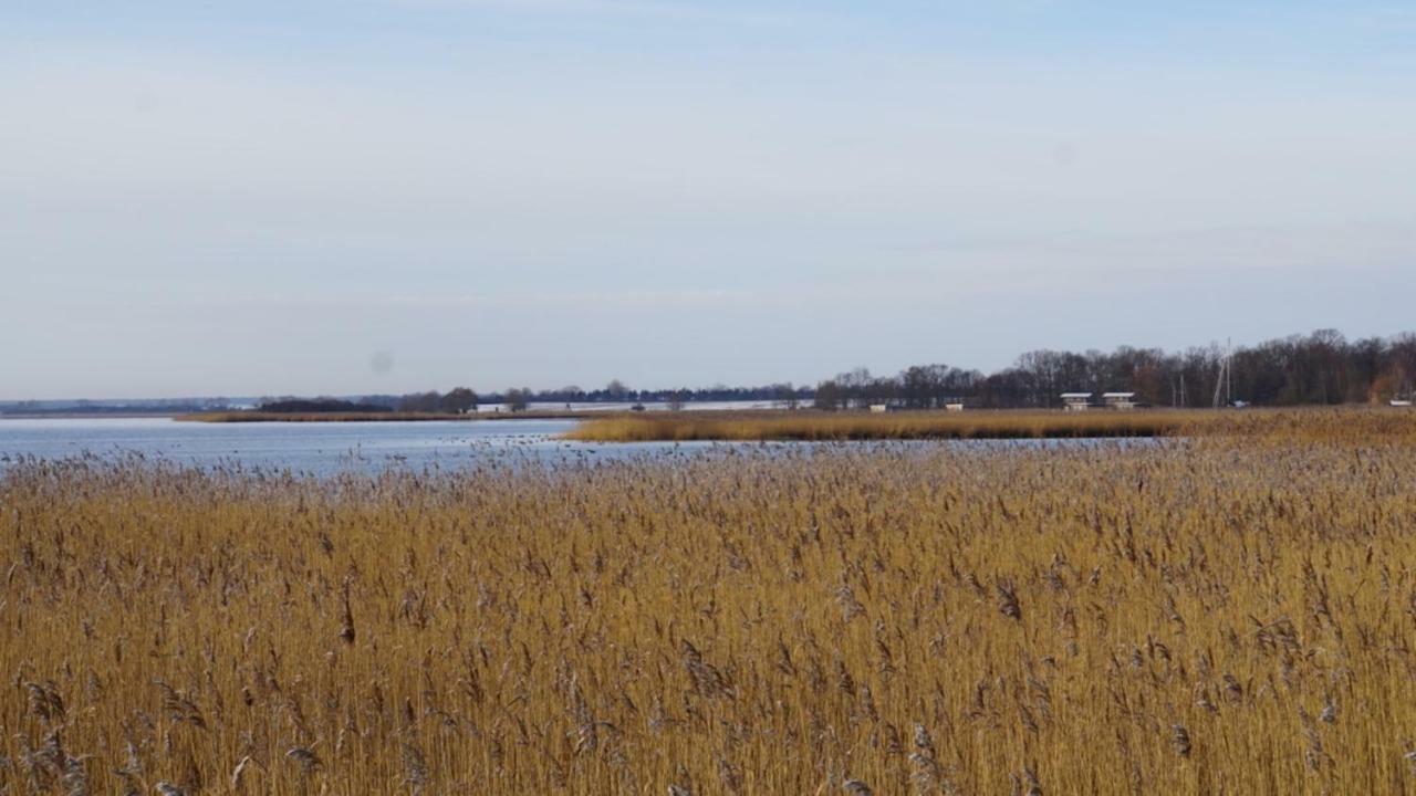 Fischerhus In Krummin - Nur Fuer Urlauber Eksteriør bilde
